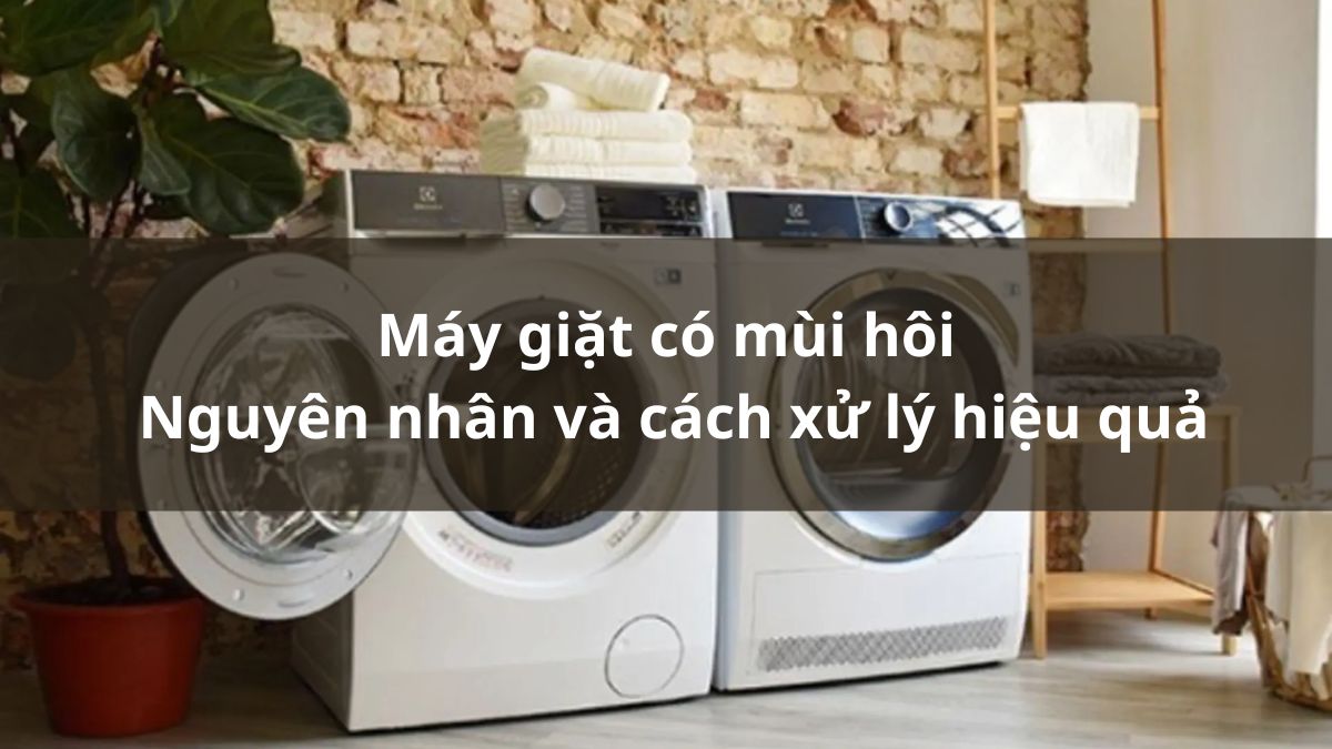 Máy giặt có mùi hôi: Nguyên nhân và cách xử lý hiệu quả